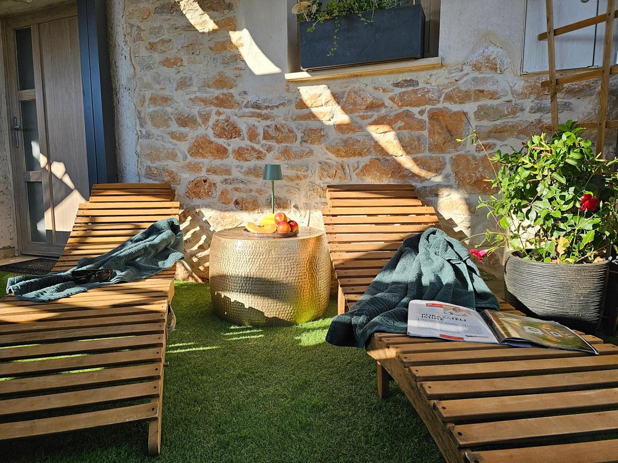 Vega Višnjan